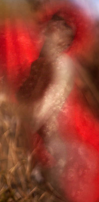 Renata Vogl red No3